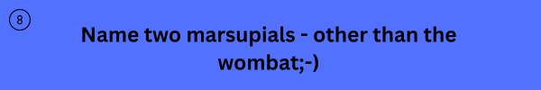 animalquiz8 animalquiz8