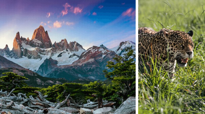 Argentina impressions: Andes and puma Argentina impressions