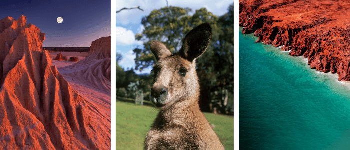 australia impressions: desert - kangaroo - coast australia header2023