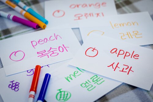 Korean language on key cards Korean Language Flashcards