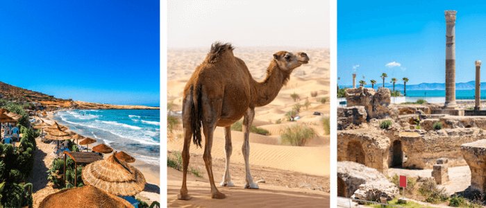 tunisia facts Tunisia Facts: Hammamet, Dromedary, Carthage