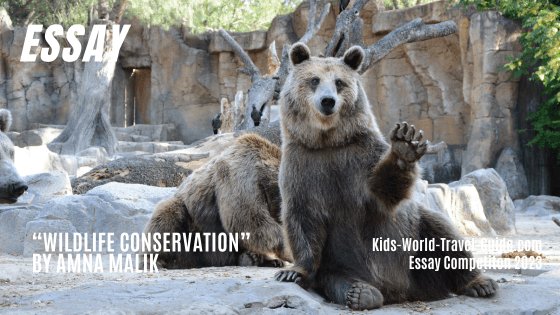 wildlife conservation essay